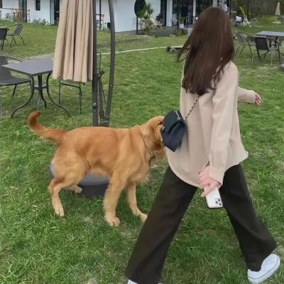 双截龙